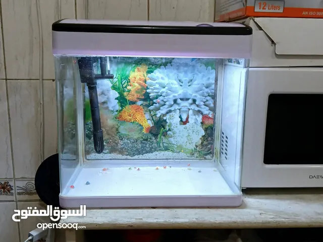 big aquarium for sale full, including whith same like new filter oxygen and light 3 color totch