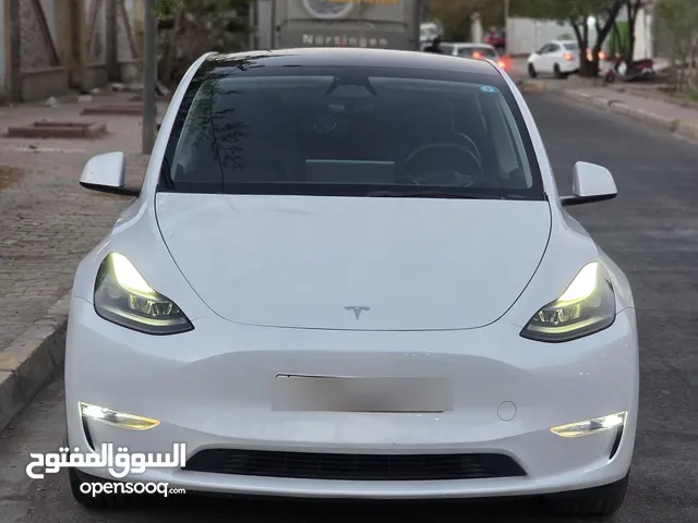 تيسلا موديل y