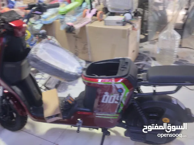 009 Electric Scooter