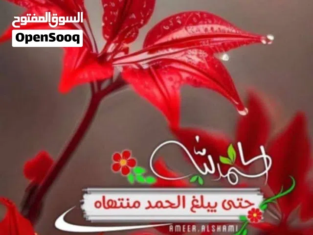 600 m2 More than 6 bedrooms Apartments for Rent in Al Jahra Qasr