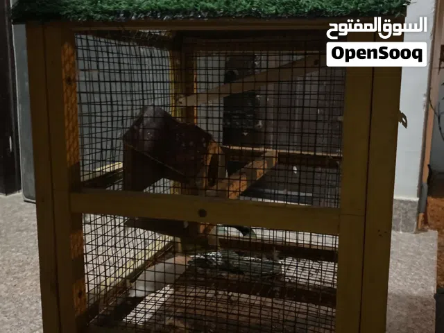 قفص طيور للبيع