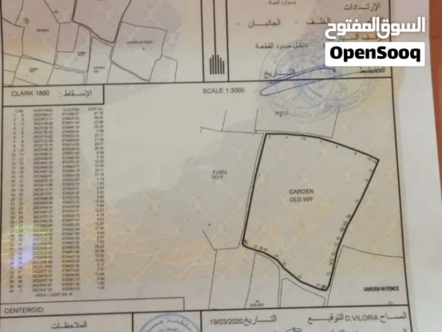 Farm Land for Sale in Al Batinah Barka