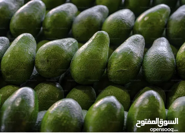 أفوكادو من رواندا