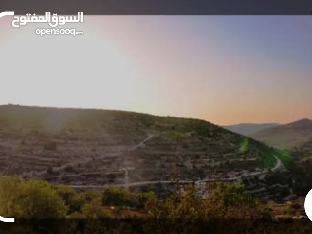 Mixed Use Land for Sale in Hebron Tapuah