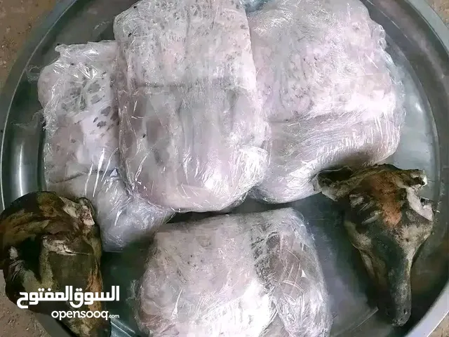 يوجد الدينا بطون خروف وطني حواله نظيفة ومخروطة عبي حشوتك طول. صغار بي60 دينار وكبار بي 70دينار ور