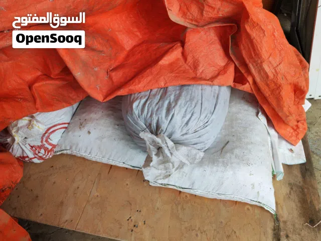 نفيعه لي الأغنام شوف الوصف