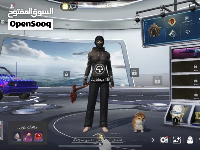 Pubg Accounts and Characters for Sale in Northern Governorate