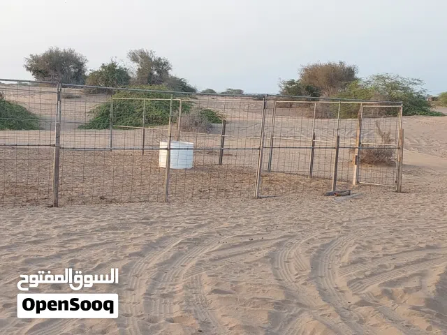 للبيع للبيع 12 قطعة حديد  مع بابين قطعتي  مال البوش حديد غير حليان  ممتاز سبب البيع عدم التفريغ  مطل