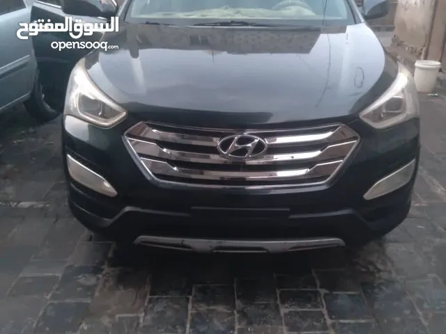 سنتافي 2013