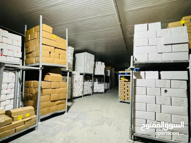 For sale Complete fish collection مصنع لصدير الاسماك حول العالم