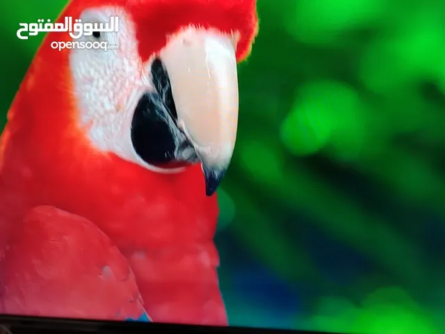 Toshiba Smart 50 inch TV in Zarqa