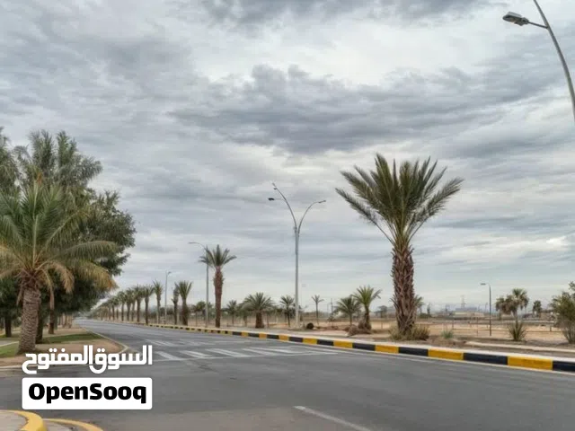 اراضي للبيع في الحكيمية خلف مطعم فلس