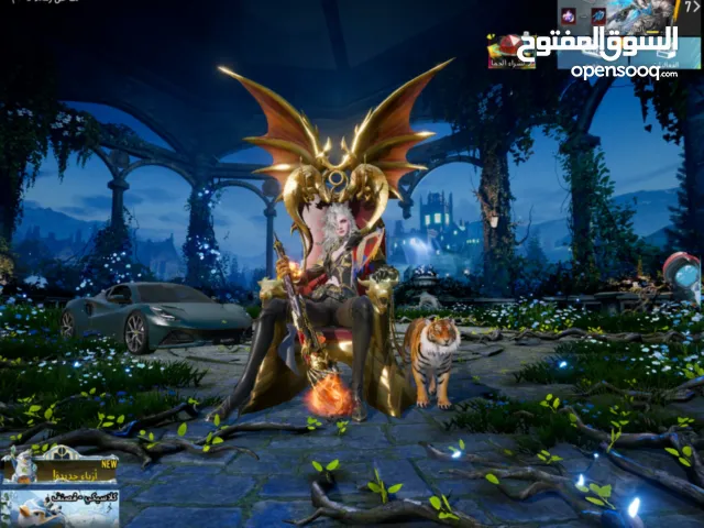 Pubg Accounts and Characters for Sale in Giza