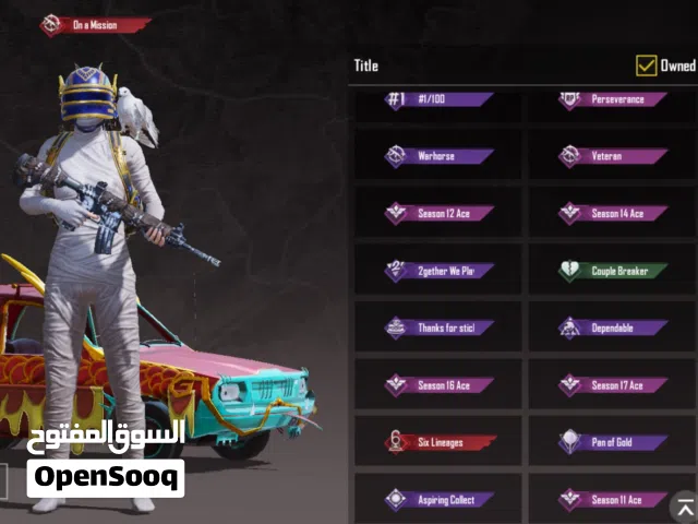 Pubg Accounts and Characters for Sale in Irbid