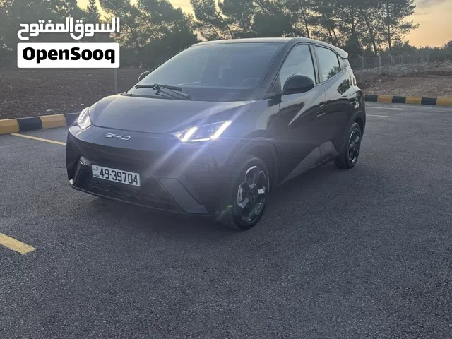 2024 بي واي دي سيجول