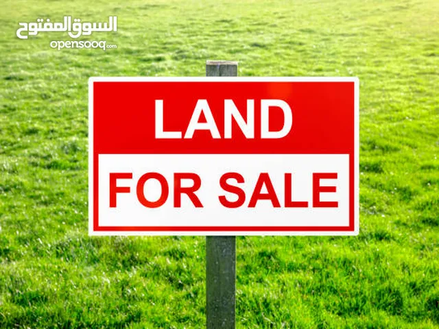 Farm Land for Sale in Amman Madonna