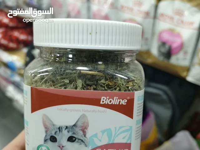 عشبة الكاتنب