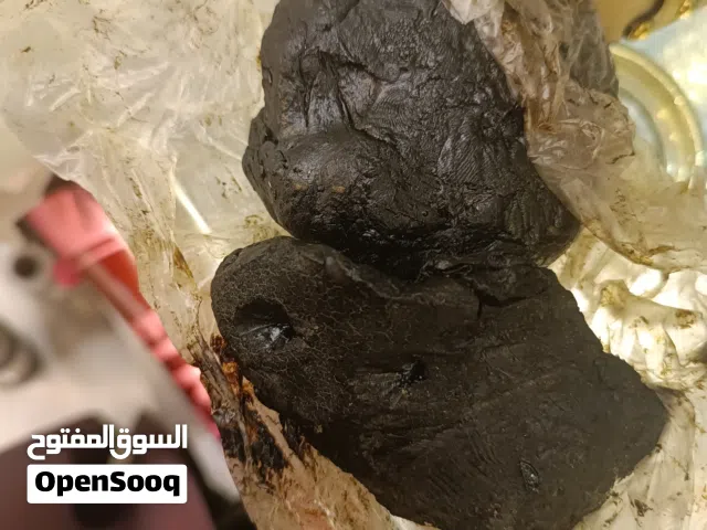 عنبر اسود للبيع