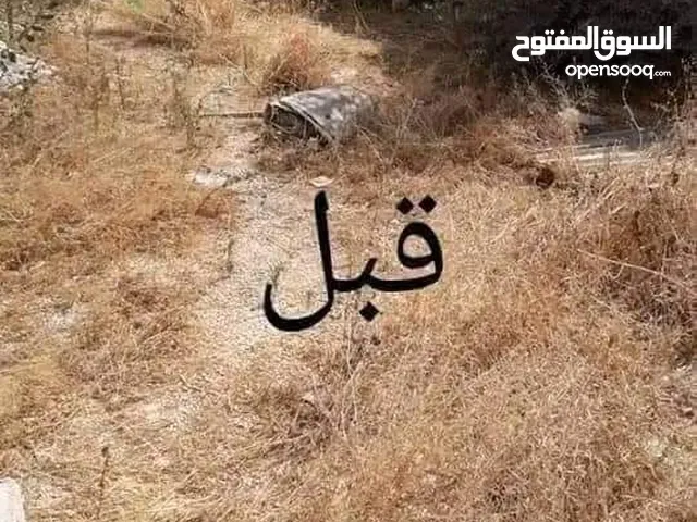 نكش الأشجار وتنظيف الحدائق