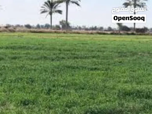 قطعة ارض بالنجيبية الفنجانية مساحة 200 متر طابو صرف
