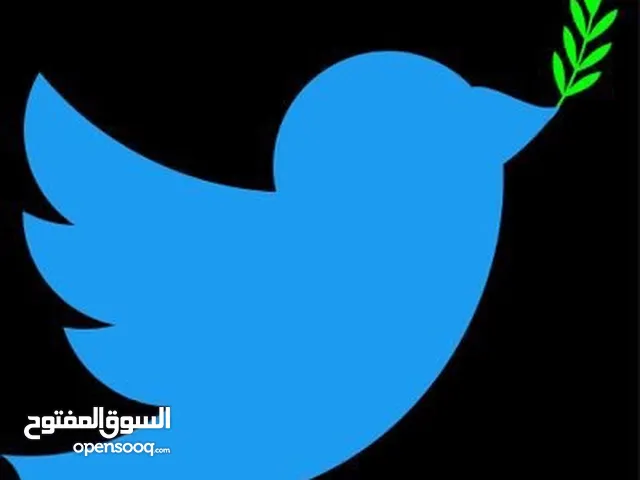 50 طبله للبيع
