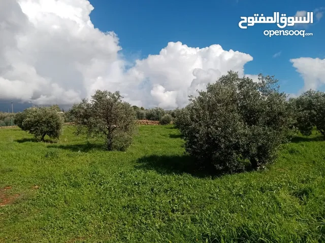 Mixed Use Land for Sale in Jerash Dahl