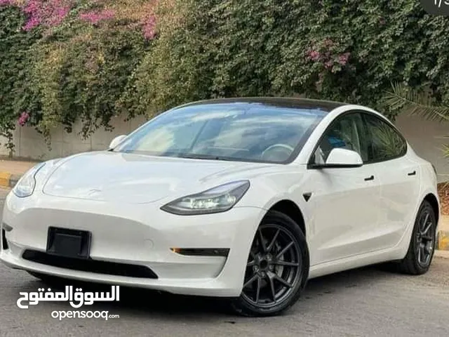 Tesla 3 2023 Standard Plus Autoscore 80%