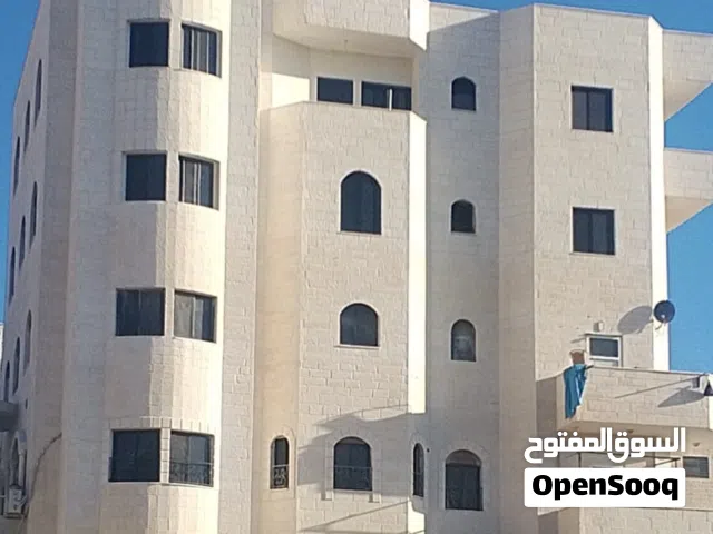 شقة غرفتين نوم طابق اول قرب جامعة البتراء