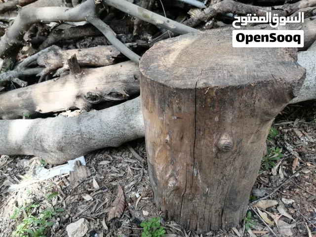 حطب للبيع شجر زيتون ولوز وسرو وتين ناشف قرامي وزنود