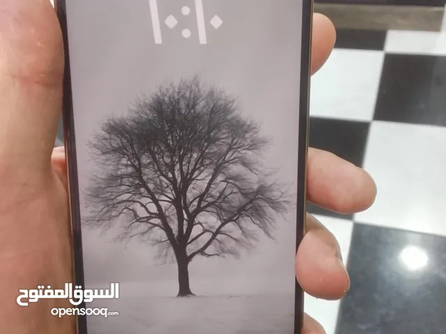 Apple iPhone 12 Pro Max 256 GB in Irbid