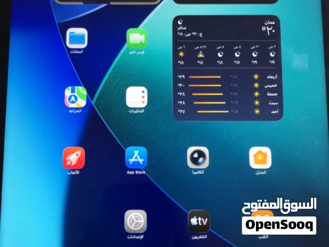 Apple iPad Pro 256 GB in Irbid