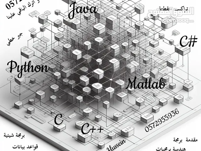 دكتور اكاديمي خبرة في البرمجة البايثون و الماتلاب و التصمبم الرقمي و الجبر الخطي