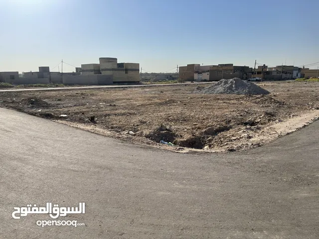 قطع ارض طابو زراعي الكوفة شارع المعمل قرب جامع الخزاعل متوفر كافة الخدمات