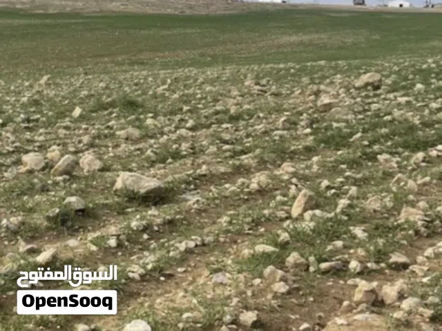 قطعة أرض إستثمارية مفروزة شرق جامعة العلوم والتكنولوجيا من أراضي الرمثا