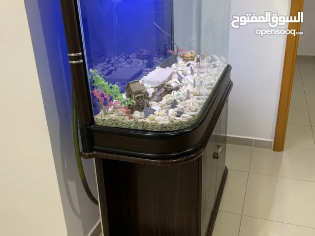 حوض سمك مع طاولة كامل زجاج بسعر 1000 درهم فقط مع كامل الاغراض ( الفلتر والاحجار والنباتات )
