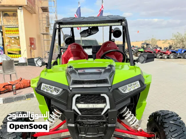 2010 Polaris Other