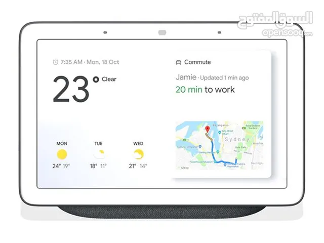 google home hub