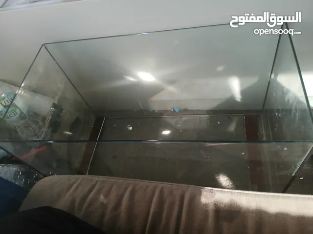 حوض سمك aquarium