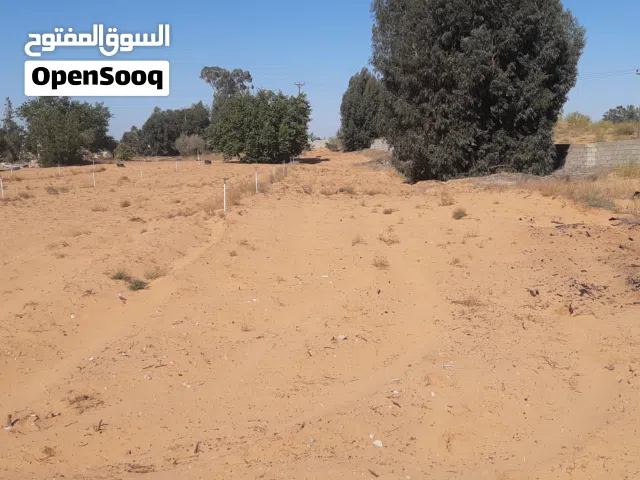 حوازه هكتار ونص