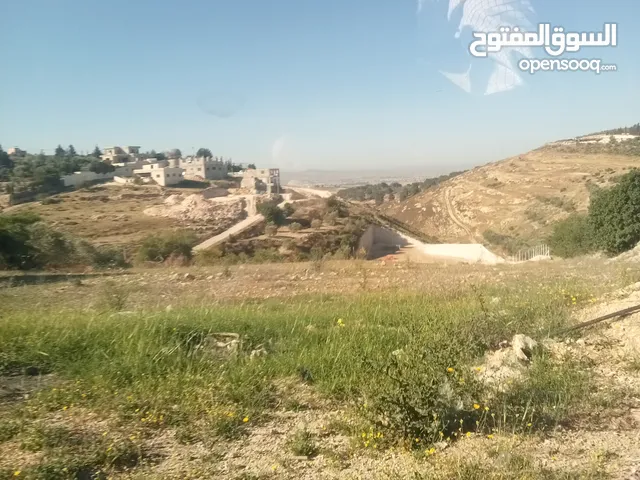 ارض سكنيه مقابل طريق ال100للببع بسعر مغري