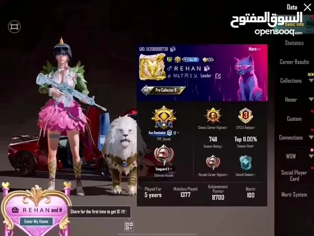 Pubg Accounts and Characters for Sale in Mecca