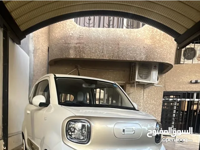 مني بيستون