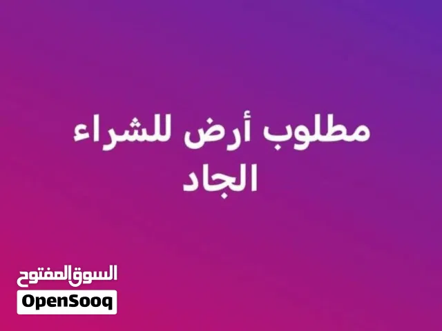 مطلوب ارض للشراء في جنوب عمان مناطق جلول / ام رمانه / جبيل الزيتونه من المالك