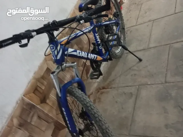 بسكليت جنط 24