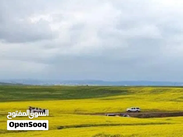 Residential Land for Sale in Mafraq Fa'