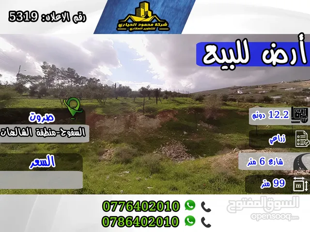 رقم الاعلان (5319) قطعة ارض زراعية مميزة للبيع في صروت , السفوح منطقة الشاليهات