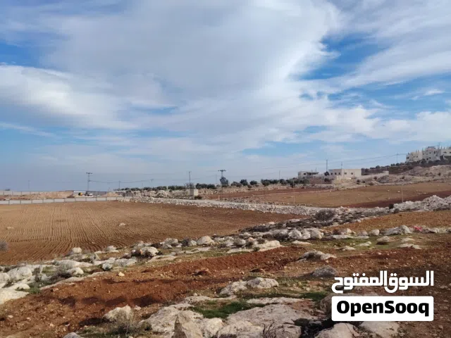 Farm Land for Sale in Jerash Marsa'
