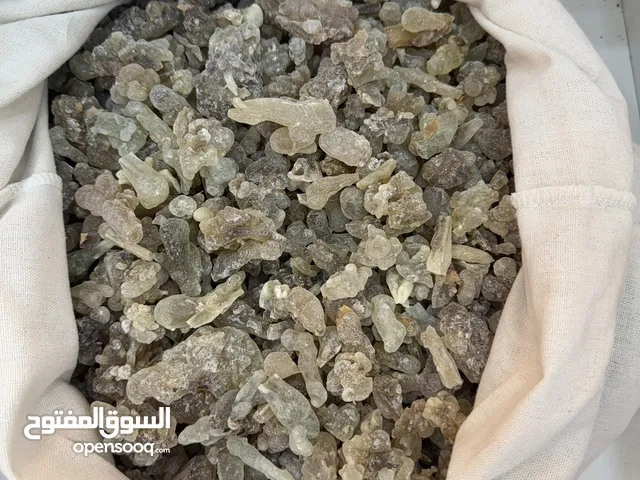 لبان حوجري صلالة