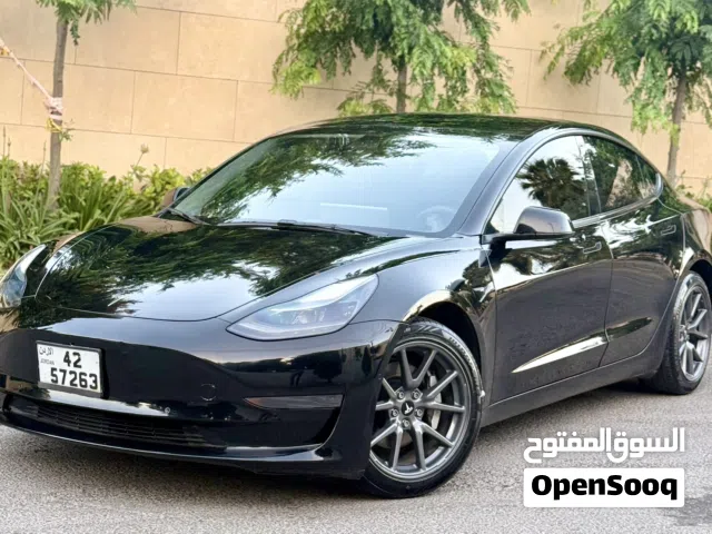2021 Tesla Model 3 Standard Plus
