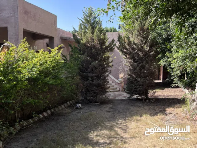 بيت في الكينج بجوار شركة ميدور بحديقة مفروش للايجار الاسبوعي والشهري والسنوي